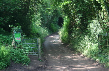 Weston under Penyard (16)